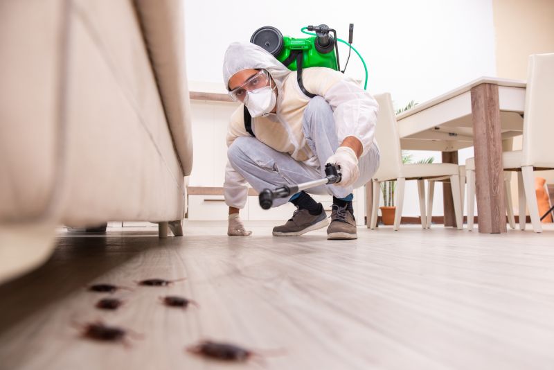 Emergency Pest Treatments